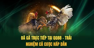 Đá Gà Trực Tiếp