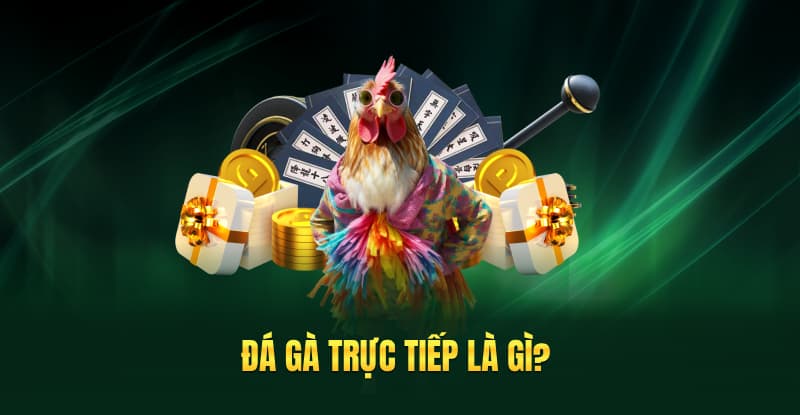 Đá gà trực tiếp là gì?