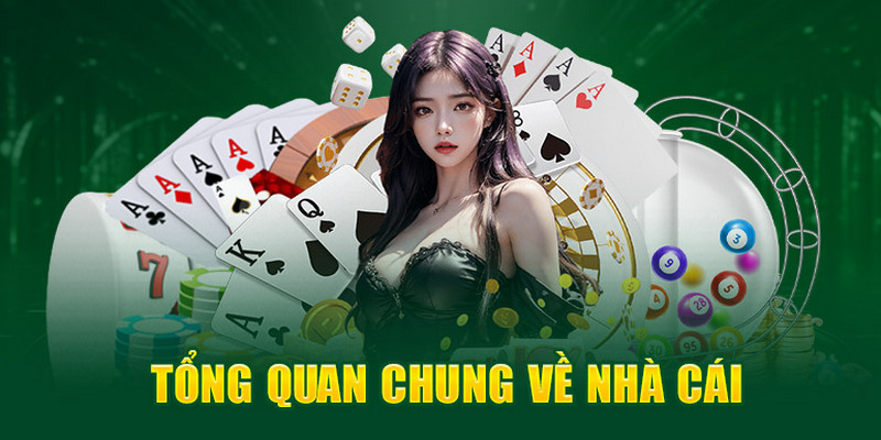 Giới thiệu QQ88 về những năm tháng phát triển mạnh mẽ