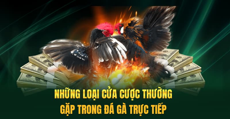 Những loại cửa cược thường gặp trong đá gà trực tiếp