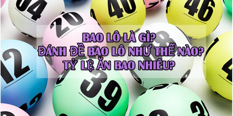 Tìm hiểu bao lô là gì?