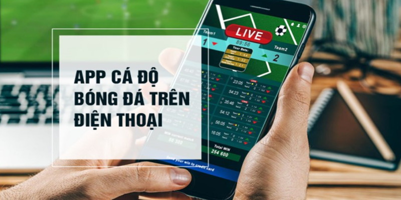 App cá độ bóng đá W88