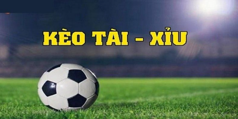 Kèo Tài Xỉu phù hợp cho người mới bắt đầu